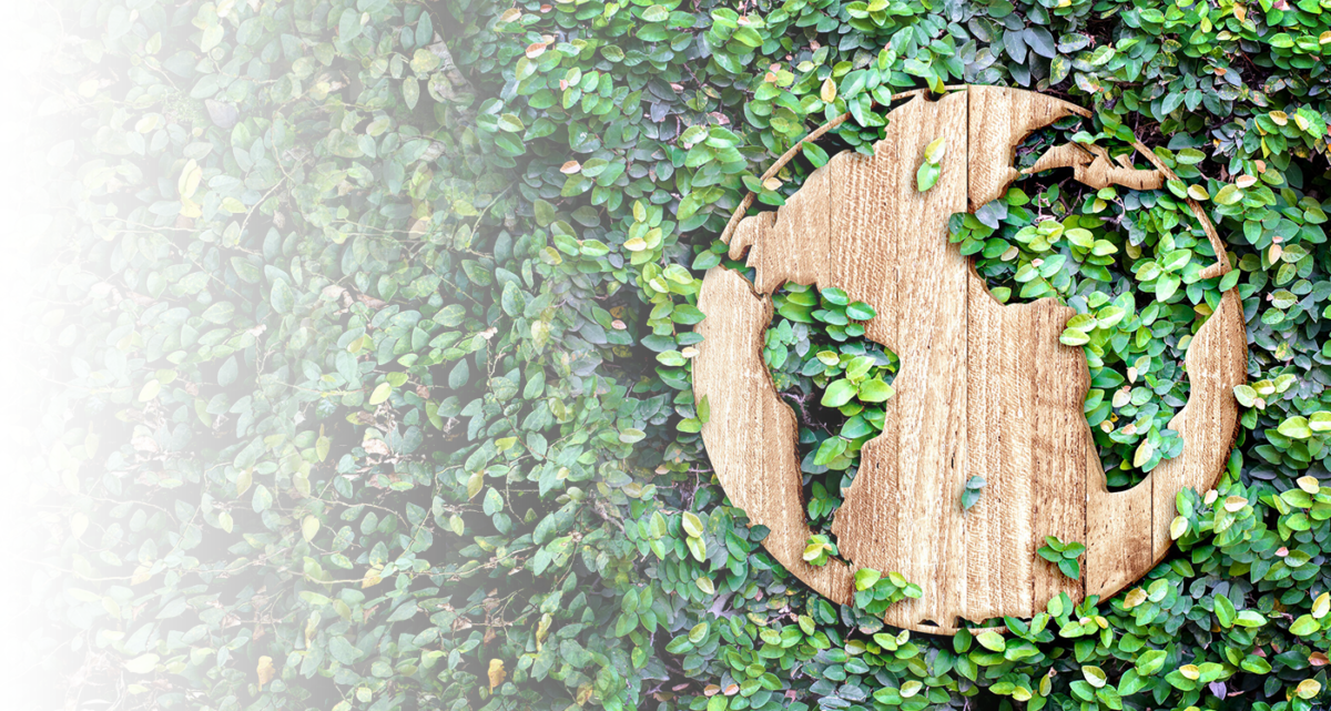 Eco-conscious Innovation